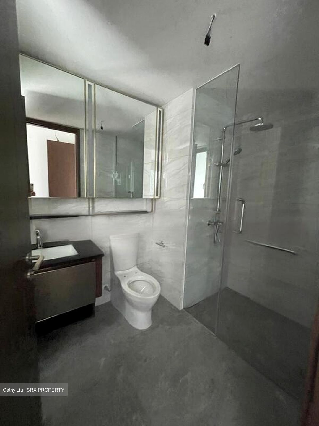 Normanton Park (D5), Apartment #565039821